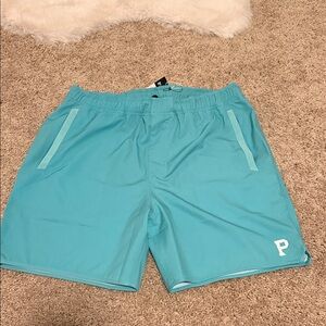 Brand Men's Blue Shorts